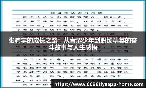 6686体育app